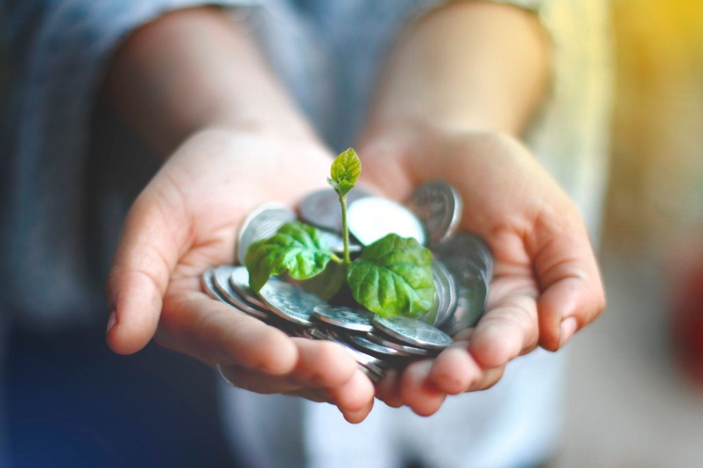 Hands holding coins with a young plant sprouting